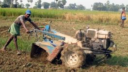 Peasants in Rural India