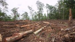 Nature in Most Perilous State Ever, Says IPBES Global Assessment Report