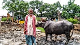 traditional dairy farmers in bihar 