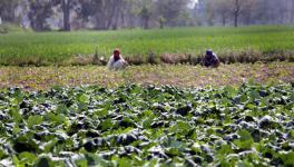 Jammu and Kashmir Article 370