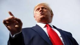 Donald Trump's 'plans' to buy Greenland have received widespread rejection.