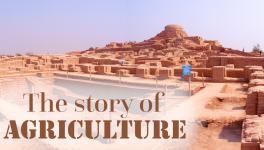 How did Agriculture Begin in South Asia?