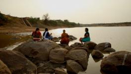 These Roots are set Deep in the Land