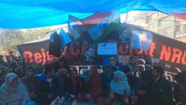 State-Sponsored Ambush: Shaheen Bagh Protesters