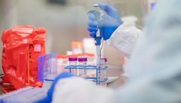 private health sector missing in fight against COVID-19.