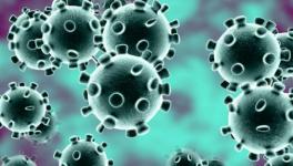 Corona Crisis and India