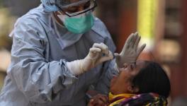 COVID-19: The Government Falters, and Continues to do so