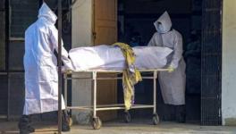 COVID-19 deaths in Indore