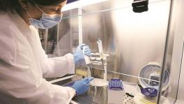 World Virus Cases top 15 Million; US Labs Buckle Amid Testing Surge