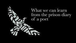 Varavara Rao's Prison Diary