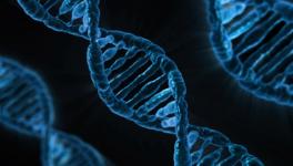 Can We Address That British Eugenics Scandal?