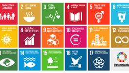 SDG Index India