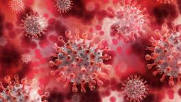 Super Immunity Against Coronavirus Wanes With Time, Suggests New Research