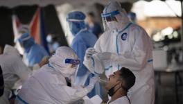 COVID-19 Cases Rise for Second Straight Week Globally, Deaths Fall: WHO