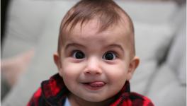 The findings hint at the paramount importance of infant-directed speech used by parents for developing language in their babies.