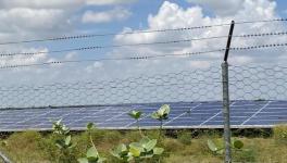 Unsettling Proliferation of Solar PV Waste Piles and What it Means for us