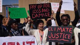(Photo: @LossandDamage/Twitter)