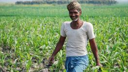 Support prices, indebtedness and sheer dependence on agriculture are key political motivating factors when it comes to farmers.