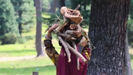 A woman carrying firewood from the forest (Photo - Khursheed Ahmad Shah, 101Reporters)