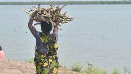 A woman walks along the riverbank carrying a heavy load of firewood on her head, reflecting the daily labor and resourcefulness required for survival in this remote deltaic region (Photo - Raima Kayal, 101Repo