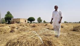 Kaluram Solda, a farmer from Charanvasi village (Photo - Jayalal Verma)