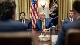 US Secretary of State Marco Rubio, US President Donald Trump, and US Secretary of Defense Pete Hegseth in a Cabinet Meeting. Photo: White House