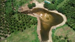 After water accumulated in the check dam built under the Amrit Sarovar scheme (Photo - Prasanth Shanmugasundaram, 101Reporters)