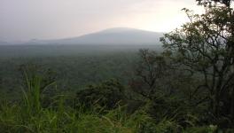 Virunga National Park, the area where mass killings have taken place in August 2025. Photo: wiki commons