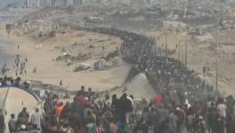 Palestinians return to their neighborhoods in Gaza amid the third ceasefire deal with Israel. Photo: screenshot
