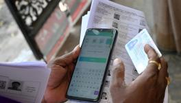 Image: R. Ashok / The Hindu