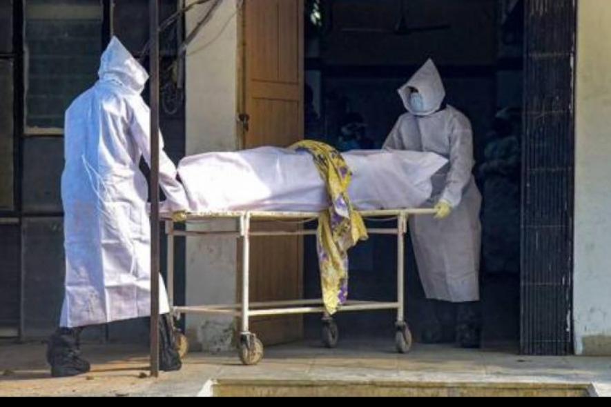 COVID-19 deaths in Indore