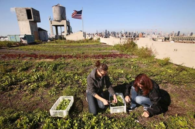 54 Million People in the U.S.