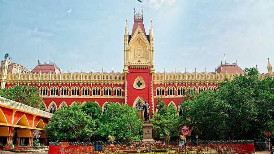 WB: Calcutta HC Committee Looking into Post-Poll Violence Says Rule of Law Missing