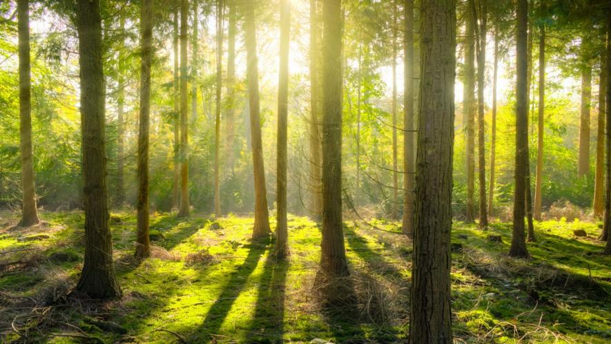 Incremental Dilution of India's Environment Regulatory Regime for Benefit of Corporates?