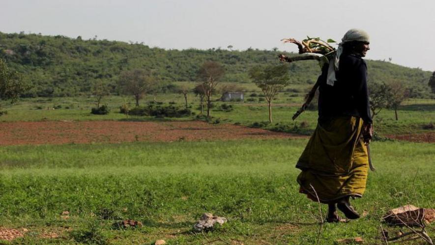 As the state goes to the polls on Friday, the political outlook in tribal areas appears completely different from the rest of the state.