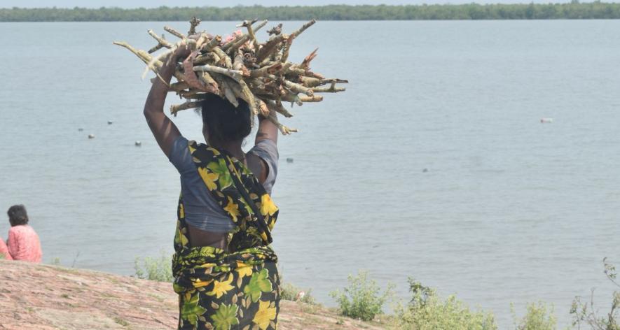 A woman walks along the riverbank carrying a heavy load of firewood on her head, reflecting the daily labor and resourcefulness required for survival in this remote deltaic region (Photo - Raima Kayal, 101Repo