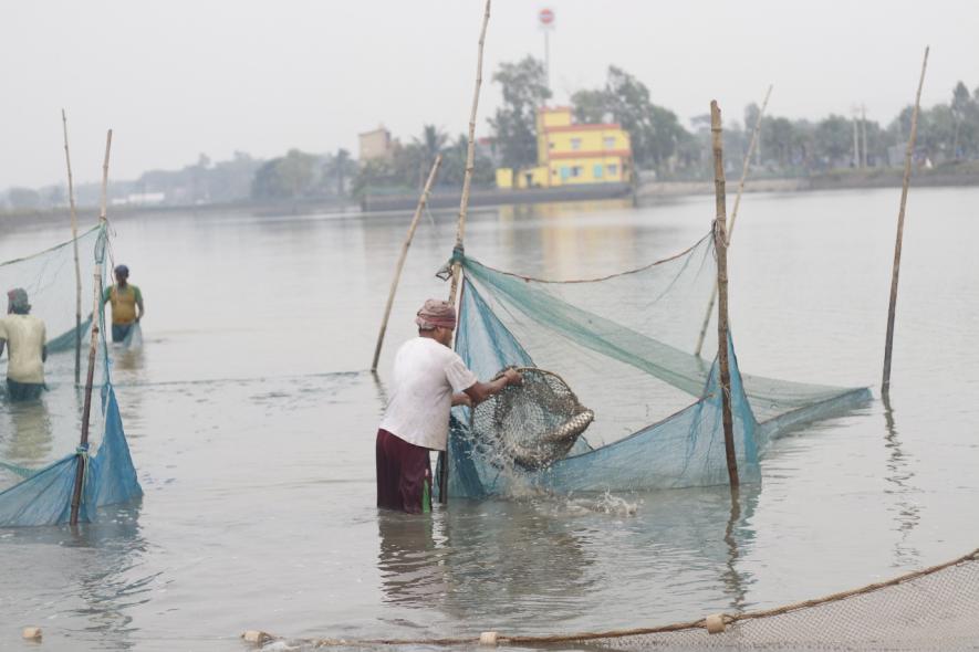 Photo by Sayan Dattua Bar