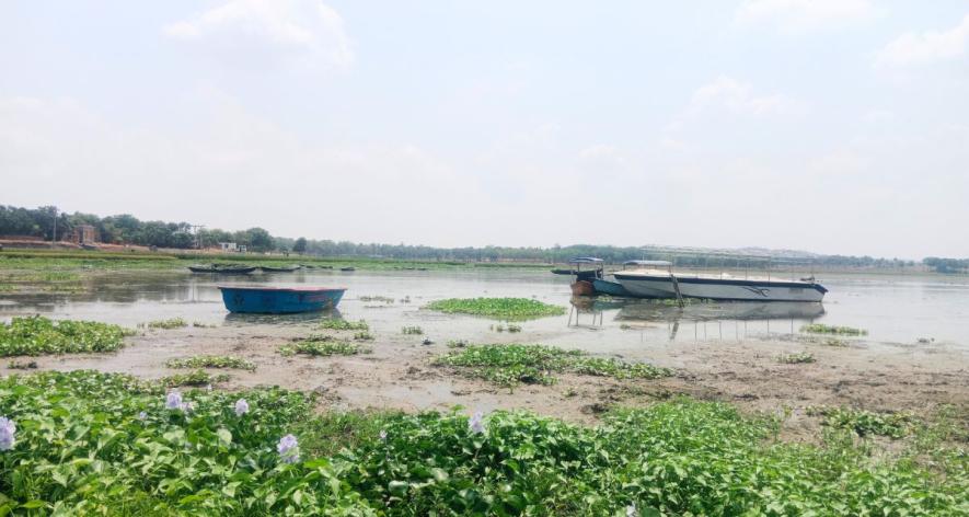 A picture of Udhwa Lake that officially received its Ramsar site status (Photo - Rahul Singh, 101Reporters).