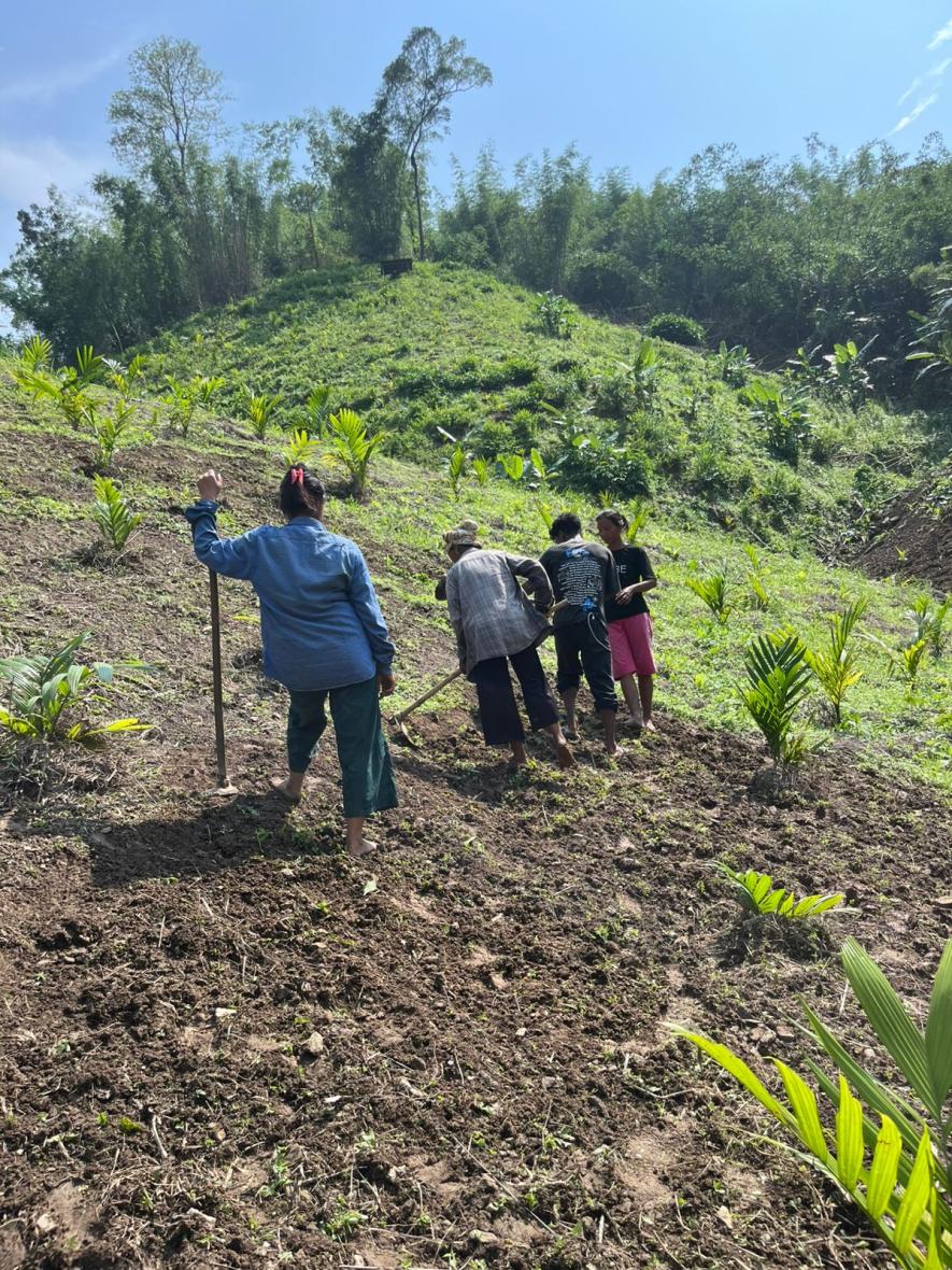Preparation for mix croping and seed brodcasting
