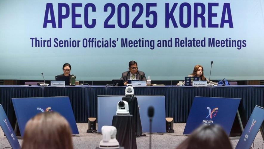 APEC economies meet on digital policy cooperation in July 2025. Photo: APEC secretariat/X