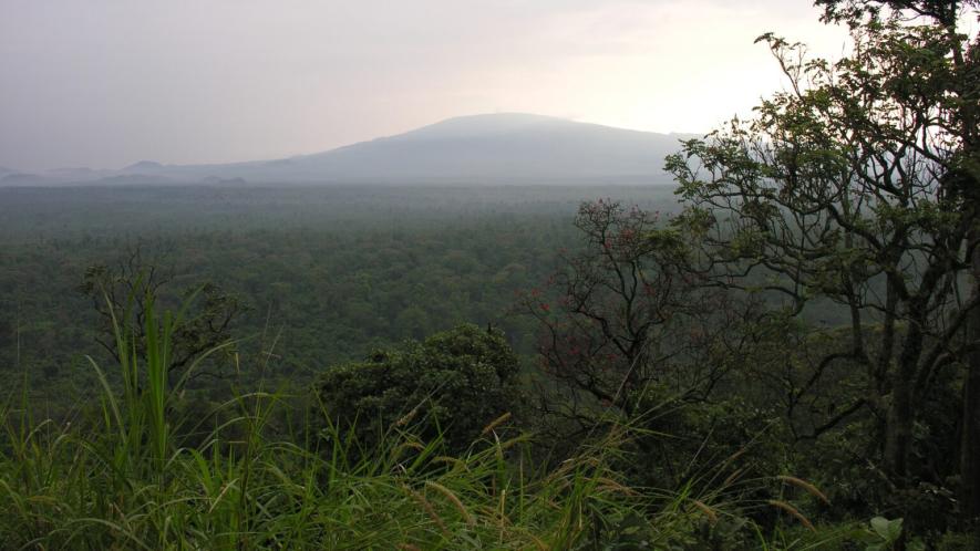 Virunga National Park, the area where mass killings have taken place in August 2025. Photo: wiki commons