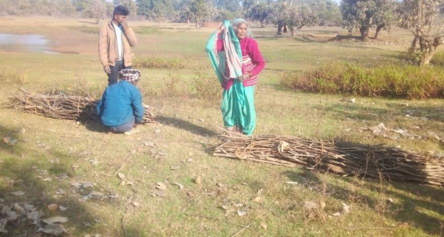 Baiga artists earning some income by cutting wood (Photo - Satish Bhartiya, 101Reporters).