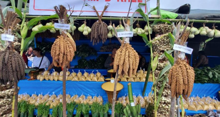 Millet earheads presented the Millet Festival at Kezoma village (Photo - Ketholeno Neihu, 101Reporters).