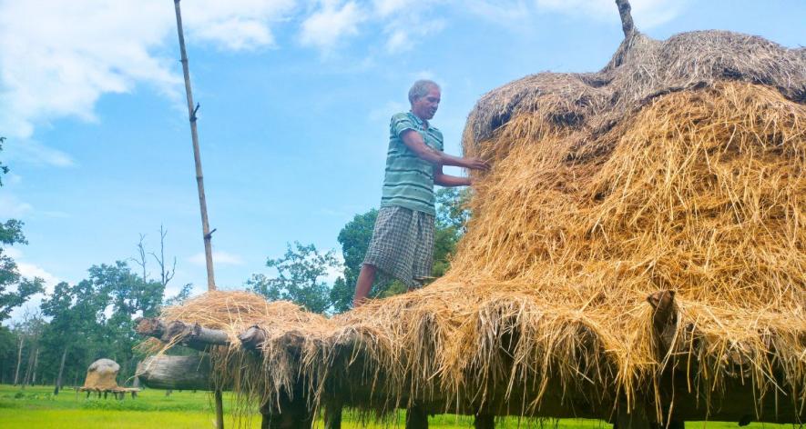 The residents worry that displacement means not just losing land, but an entire way of life (Photos - Satish Malviya, 101Reporters).
