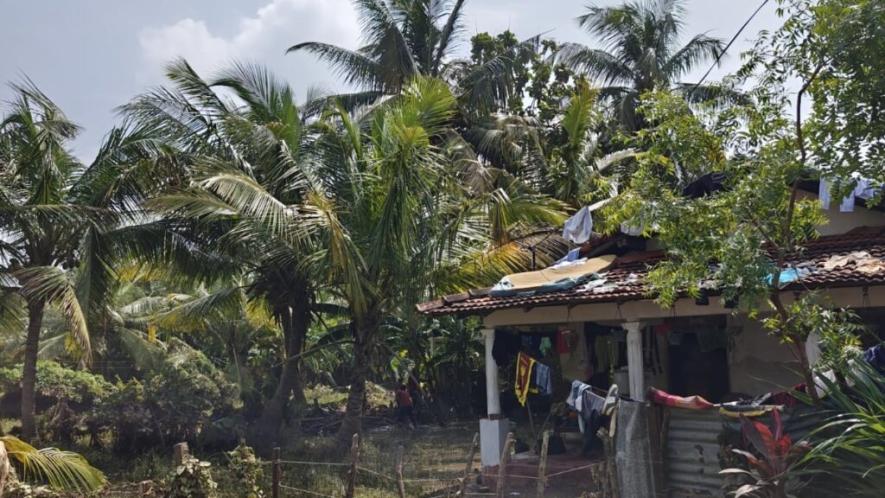 Impact of Cyclone Ditwah in Sri Lanka. Photo: Shiran Illanperuma