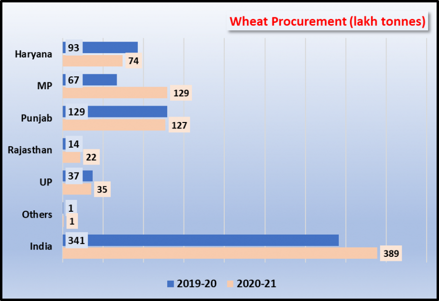 how madhya pradesh doubled wheat procurment